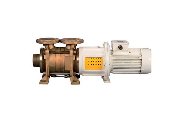 Sea Water Pump