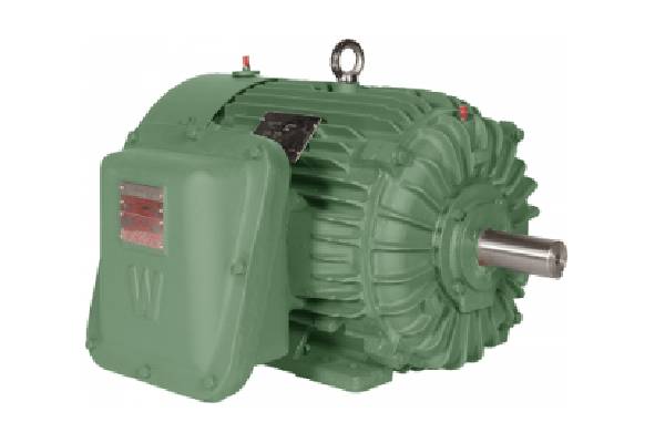 Explosion-Proof Motor