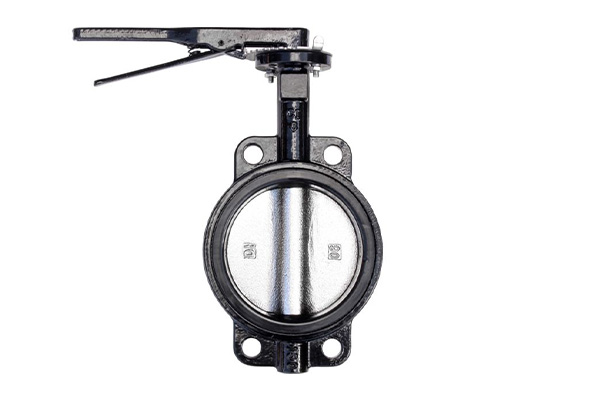 Cast Iron Butterfly Valve